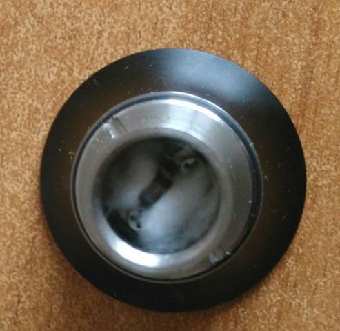 _20160511_165846.JPG