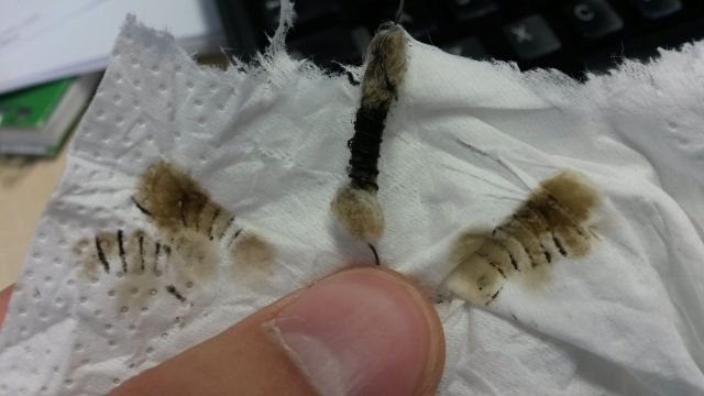 20161128_095533.jpg