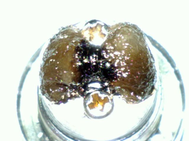 dopo_60ml_almeno_coil_4_spire_0.25KA1_1.1ohm_punta_3mm_B.jpg