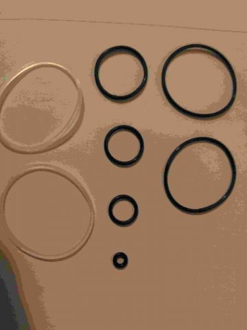 ORINGS-MORADIN25.jpg