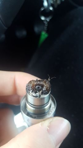 20170929_074818.jpg