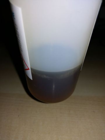 1508667555909-2062635254.jpg