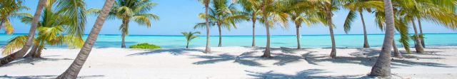 AL-destinazione-santo-domingo.jpg
