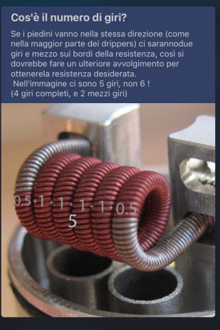 IMG_8453.PNG