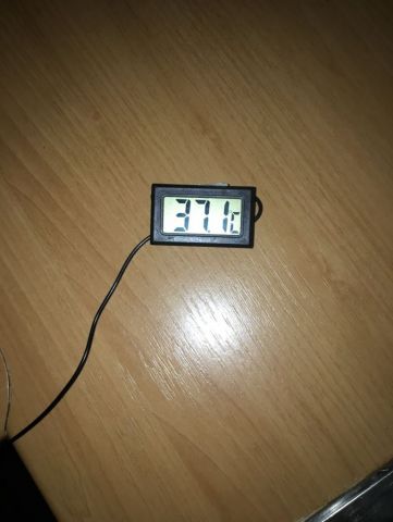 EC4ADFE2-D6F7-4411-BEA9-B66EF842BA14-5302-0000062C81FA7D5B.jpg