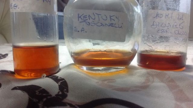 kentuky.jpg