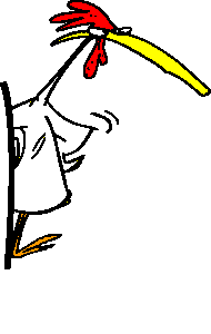 11.gif