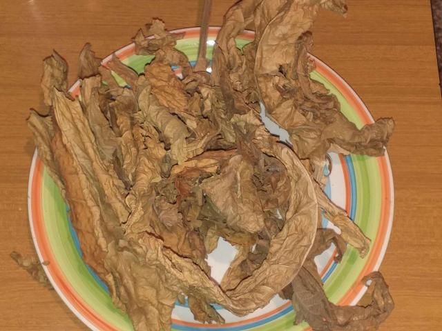 20190525_143140_compress97.jpg