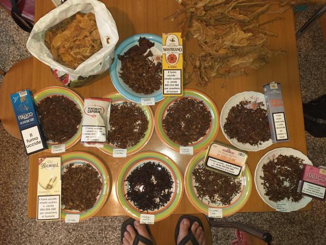 20190728_104036.jpg