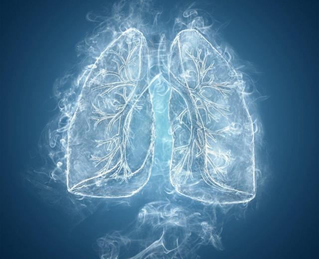 shutterstock_165296351-1184x480@2x.jpg