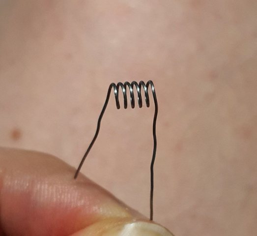 20241011_082827.jpg