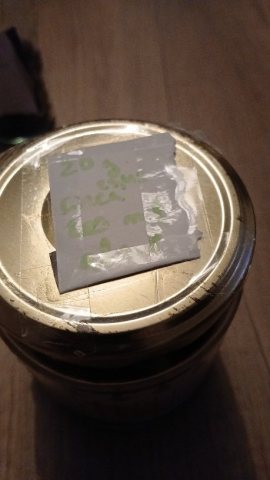 IMG-20241223-WA0035.jpeg