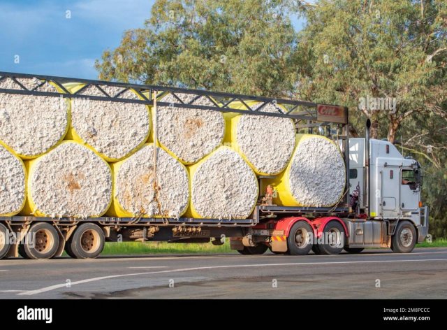 grandi-balle-laminate-gialle-di-cotone-grezzo-trasportate-su-strada-su-un-semirimorchio-a-nyngan-nel-nord-ovest-del-new-south-wales-australia-2m8pccc.jpg